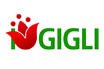 logo i gigli centro commerciale